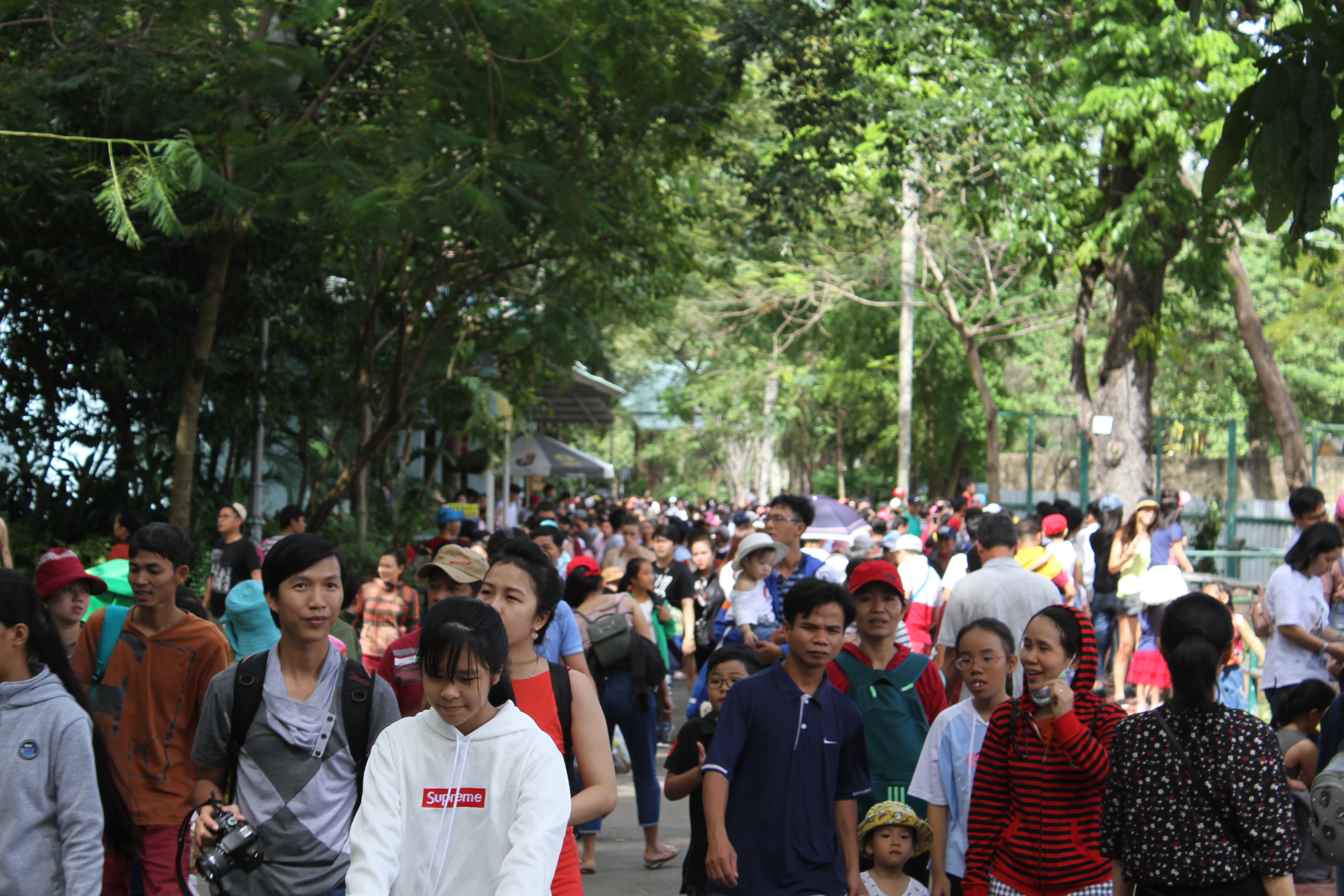 Hàng ngàn người đến Thảo Cẩm Viên ngày nghỉ Tết Dương lịch 2019