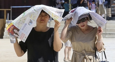 Hàn Quốc đối diện nắng nóng kỷ lục, 42 người thiệt mạng