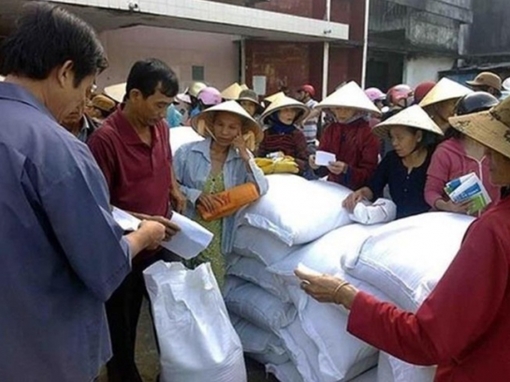 Thủ tướng Chính phủ quyết định xuất cấp gạo hỗ trợ nhân dân vùng lũ