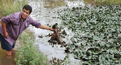 Lan tỏa phong trào nông dân làm giàu trong sản xuất nông nghiệp