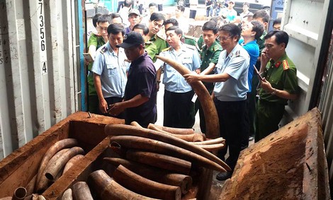 Triệt phá nhiều đường dây buôn lậu núp dưới chiêu bài hàng quá cảnh