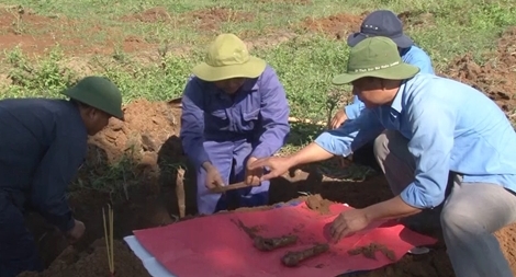 Gần 30 năm đi tìm mộ liệt sĩ ở nước bạn Lào