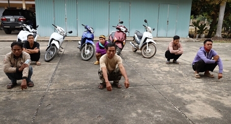 Phá đường dây vận chuyển hơn 30 xe gian từ TP Hồ Chí Minh về Tây Ninh