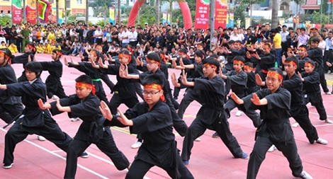 Sẽ đưa các môn võ cổ truyền vào trường học