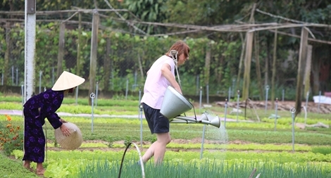 Hội An khai trương điểm tham quan, trải nghiệm làng rau Trà Quế 