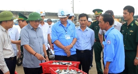 Chung tay tháo gỡ “thẻ vàng” EC, giúp kinh tế biển phát triển bền vững