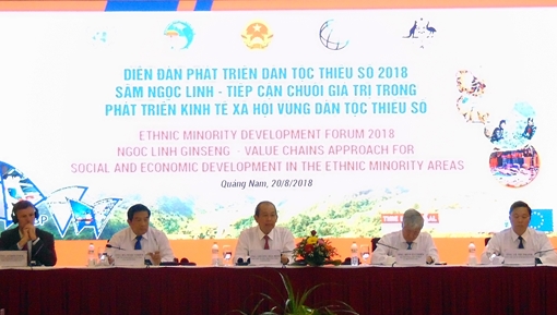 Nâng tầm giá trị sâm Ngọc Linh - sâm quốc gia ở vùng đồng bào thiểu số