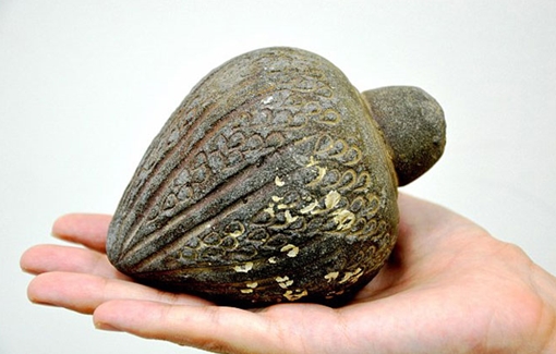 Israel tìm thấy lựu đạn... 700 tuổi