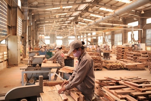Triển vọng lớn của ngành gỗ xuất khẩu   