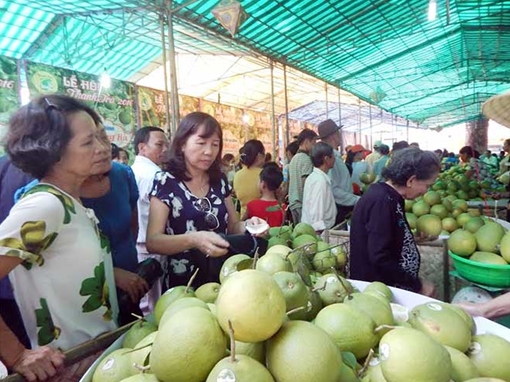 Khai mạc lễ hội đặc sản thanh trà Huế