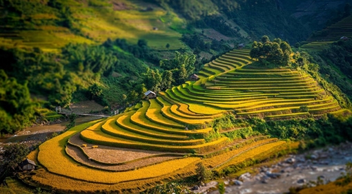 Startup Việt giành ngôi vị Á quân trong cuộc thi khởi nghiệp du lịch của khu vực